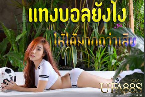 โปรโมชั่นแทงบอล