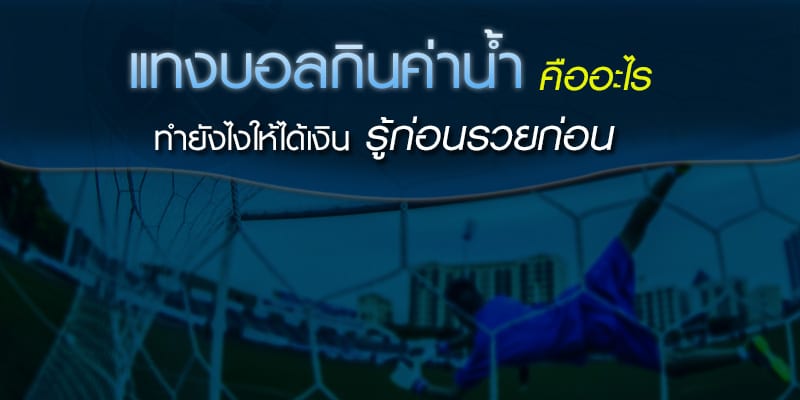 แทงบอล เว็บแม่